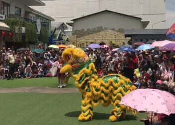 Usung The Wise of Wooden Snake Matos Gelar Imlek Enam Hari                                