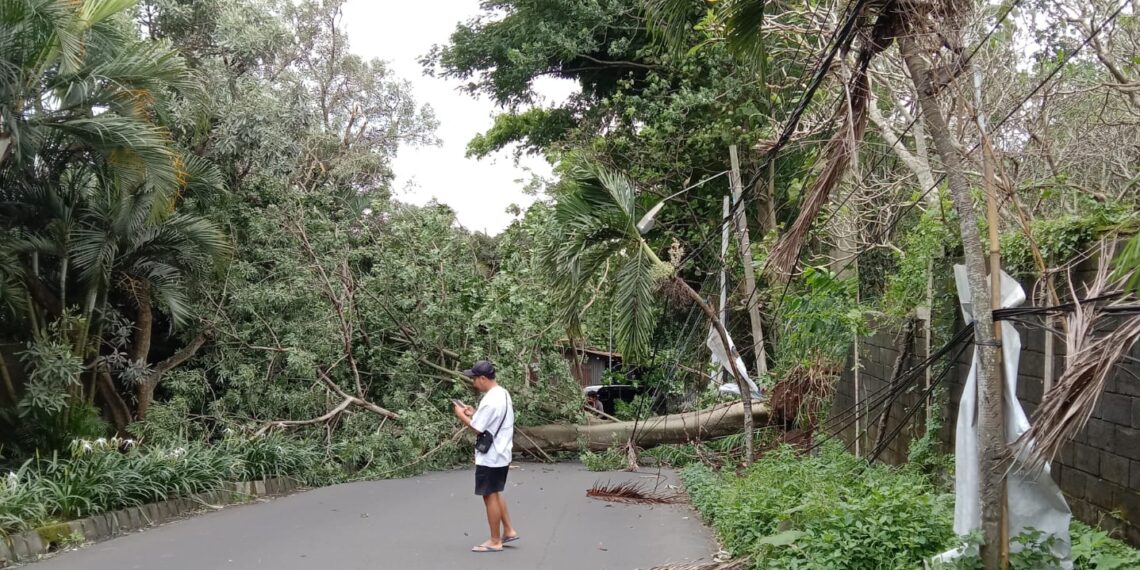Fenomena Atmosfer Sebabkan Angin Kencang di Jawa Timur, Ini Penjelasan BMKG