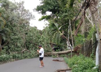Fenomena Atmosfer Sebabkan Angin Kencang di Jawa Timur, Ini Penjelasan BMKG