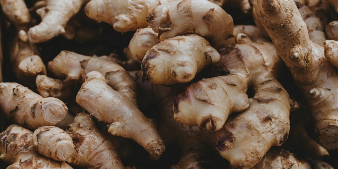 Manfaat Jahe: Imunitas Kuat, Penyakit Teratasi