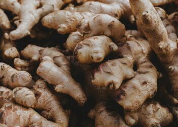 Manfaat Jahe: Imunitas Kuat, Penyakit Teratasi