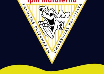 Miliki Pembina Baru, Mafaterna “Reborn”