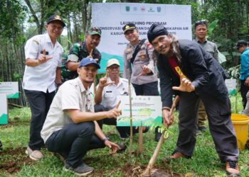 Konservasi Hutan dan Air Jaga Ekosistem Berkelanjutan