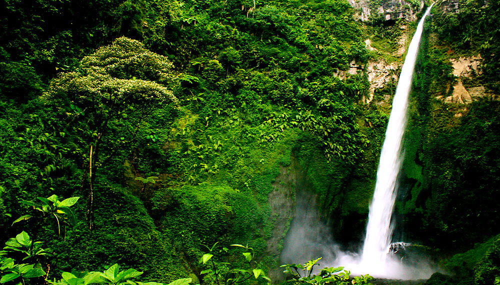 Menjelajahi 3 Air Terjun Tersembunyi di Tumpang