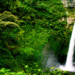Menjelajahi 3 Air Terjun Tersembunyi di Tumpang