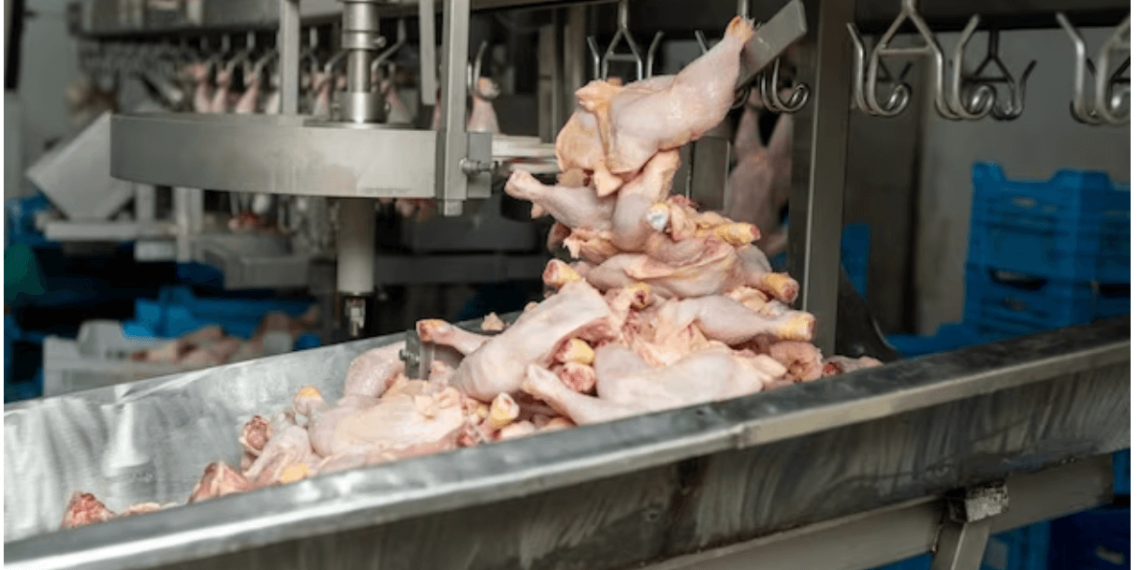 Rumah Potong Ayam, Kunci Penuhi Kebutuhan Halal Lokal