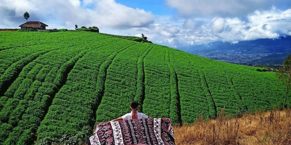 Tiga Surga Tersembunyi Malang yang Memikat