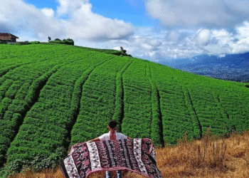 Tiga Surga Tersembunyi Malang yang Memikat