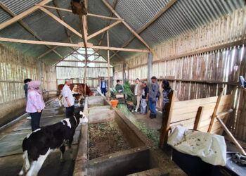 PLN UP Punagaya Lirik CoE Bioenergi & Biorefinery UB Kembangkan Desa Mandiri