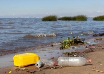 Lautan Sedang ‘Stres’ Akibat Perubahan Iklim, Plastik, dan Eksploitasi