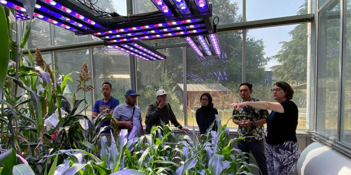 Perkuat SDM Global, FP UB Kirim Lima Dosen Muda ke Institute Agro Montpillier dan CIRAD Perancis