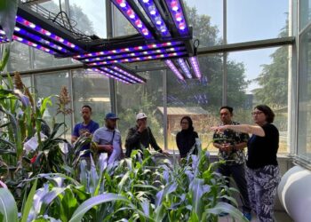 Perkuat SDM Global, FP UB Kirim Lima Dosen Muda ke Institute Agro Montpillier dan CIRAD Perancis