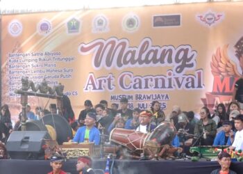 Malang Art Carnival, Pesta Seni dari Rakyat