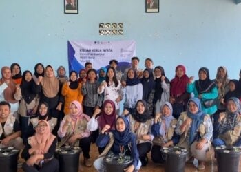 KKN UB Ajarkan Budidaya Ikan Ember di Desa Sepawon