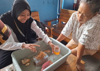 UB Gencarkan Edukasi Pengelolaan Sampah dengan Maggot di Desa Sidodadi