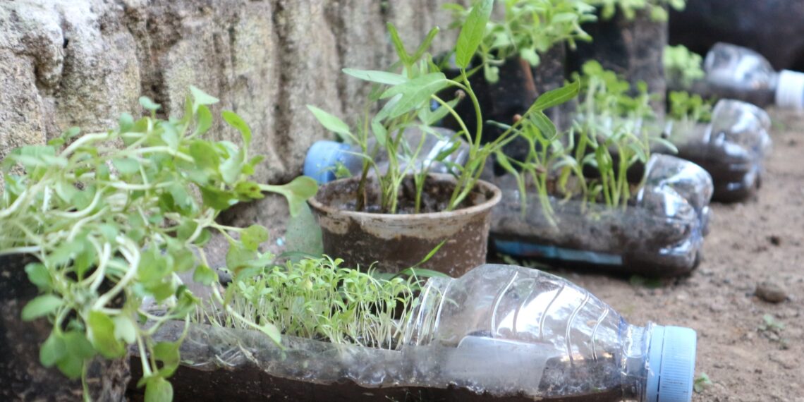 Mahasiswa UB Ubah Sampah Plastik Jadi Vertikultur