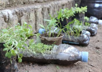 Mahasiswa UB Ubah Sampah Plastik Jadi Vertikultur