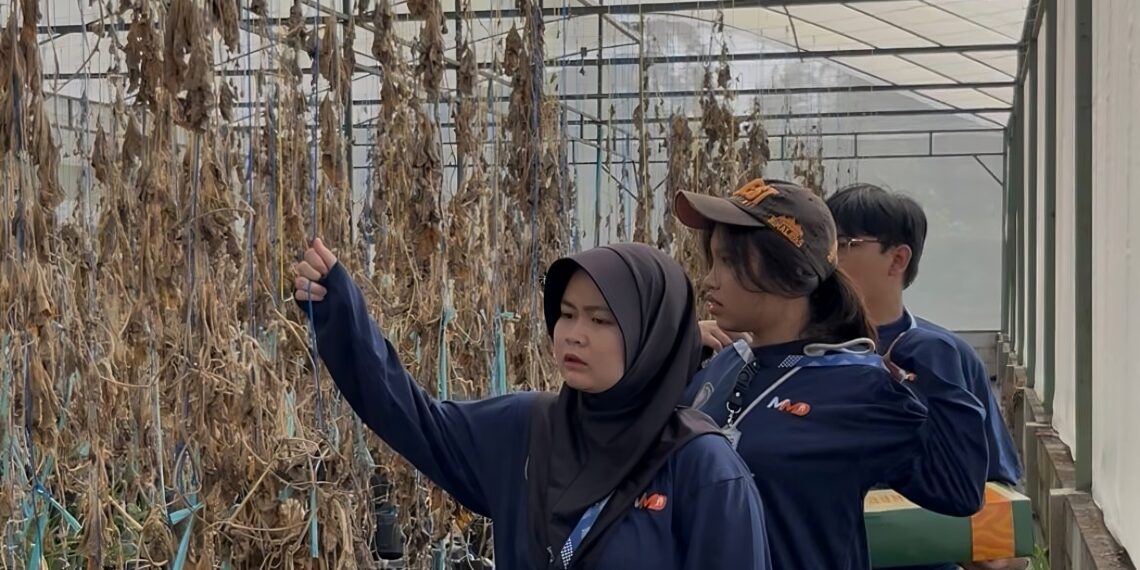 Mahasiswa UB Revitalisasi Greenhouse dan Edukasi Biopori Desa Turirejo