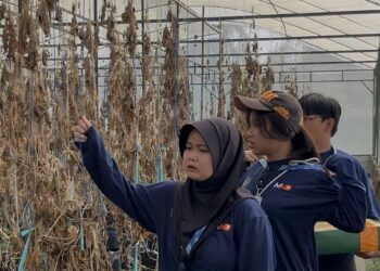Mahasiswa UB Revitalisasi Greenhouse dan Edukasi Biopori Desa Turirejo
