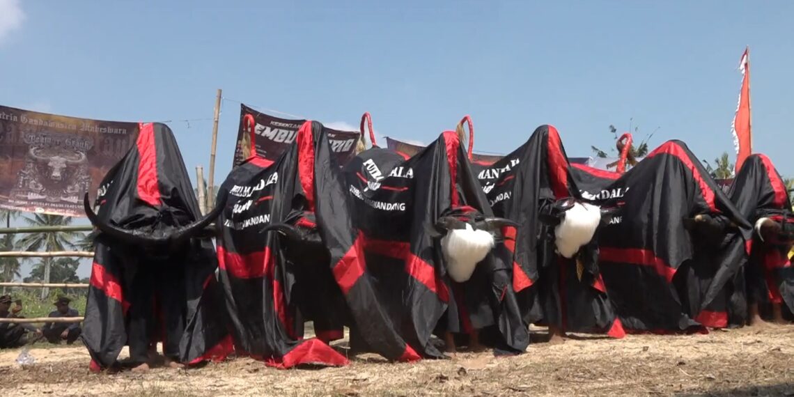 Cemoro Kandang Kukuhkan Desa Seni Bantengan