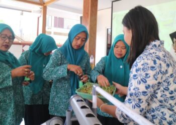 Hidroponik & Biopori: Inovasi MMD UB untuk Warga Wonorejo