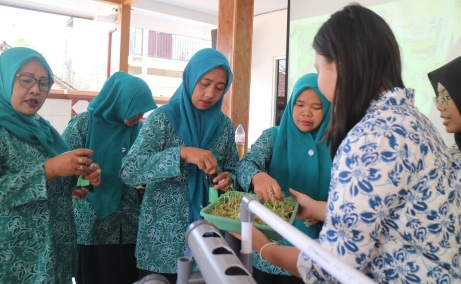 Hidroponik & Biopori: Inovasi MMD UB untuk Warga Wonorejo