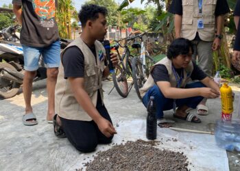 Mahasiswa UB Kediri Latih Warga Ubah Kotoran Domba Jadi Pupuk Organik
