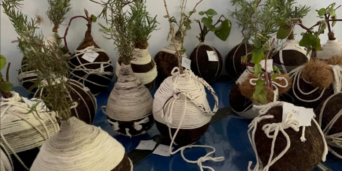 Kokedama TOGA, Solusi Gizi dari Gucialit untuk Warga