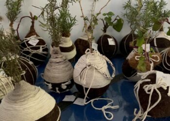 Kokedama TOGA, Solusi Gizi dari Gucialit untuk Warga