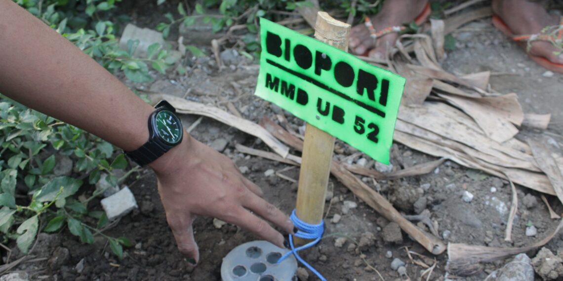 Edukasi Biopori, Mahasiswa UB Dorong Ketahanan Air Desa Kraton