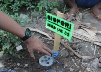 Edukasi Biopori, Mahasiswa UB Dorong Ketahanan Air Desa Kraton