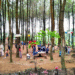Liburan Alam Seru: Camping Favorit Malang