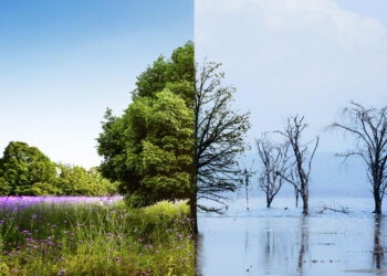 Greenwashing Ancam Pariwisata Berkelanjutan di Indonesia