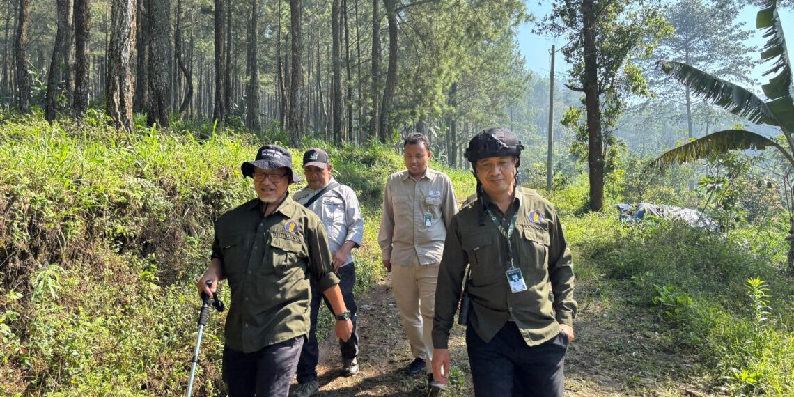 Forest Healing, UB Forest Tawarkan Konsep Hutan Masa Depan