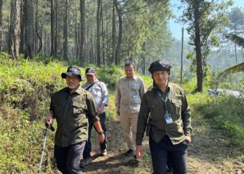 Forest Healing, UB Forest Tawarkan Konsep Hutan Masa Depan