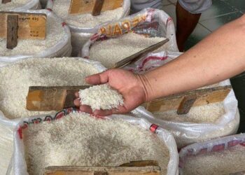 Harga Pangan 8 September 2025, Beras Naik Bawang Turun