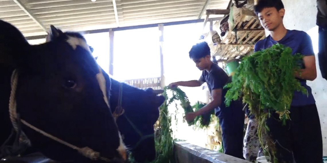 Belajar dari Alam dan Masyarakat Siswa SMA BSS “Nyantrik” di Pujon