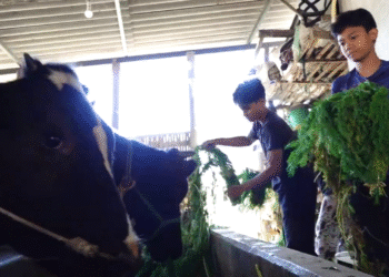 Belajar dari Alam dan Masyarakat Siswa SMA BSS “Nyantrik” di Pujon