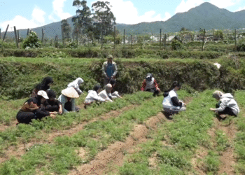 Akulturasi Budaya dan Pembelajaran Kontekstual di Brascho Nyantrik 2025