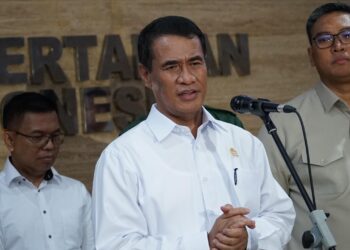 Tim Khusus Kawal Turun Harga Beras Nasional