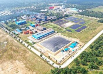 Sawit Jadi Listrik Hijau, Langkah Nyata Energi Berkelanjutan