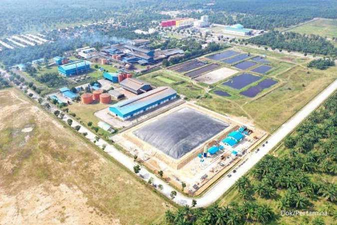 Sawit Jadi Listrik Hijau, Langkah Nyata Energi Berkelanjutan