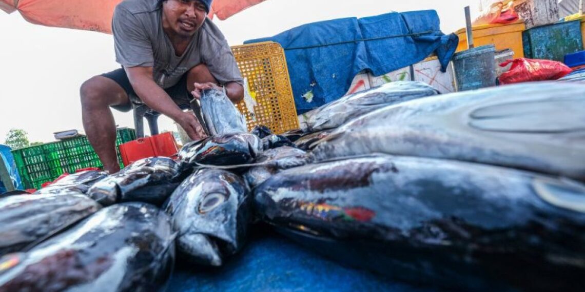 Indonesia Pimpin Standar Ketertelusuran Hasil Perikanan Standar Global