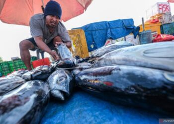 Indonesia Pimpin Standar Ketertelusuran Hasil Perikanan Standar Global