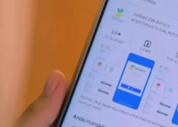 Panduan Resmi Mengecek Bantuan Sosial Pemerintah