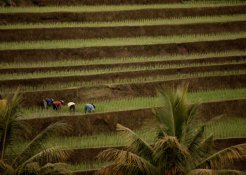 FH UB Rilis Catatan Akhir Tahun Agraria 2025