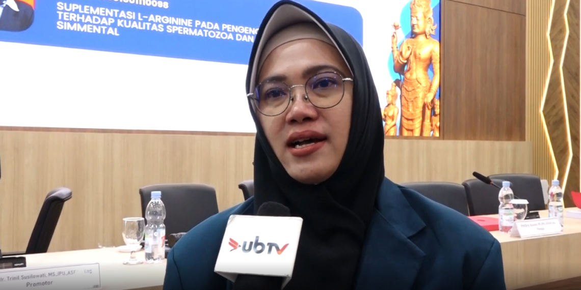 Disertasi Fapet UB Ungkap Peran L-Arginine Jaga Kualitas Semen Sapi Simmental