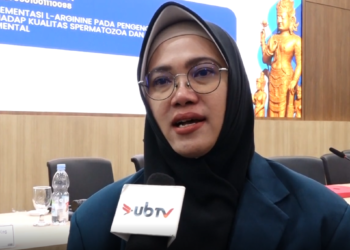 Disertasi Fapet UB Ungkap Peran L-Arginine Jaga Kualitas Semen Sapi Simmental