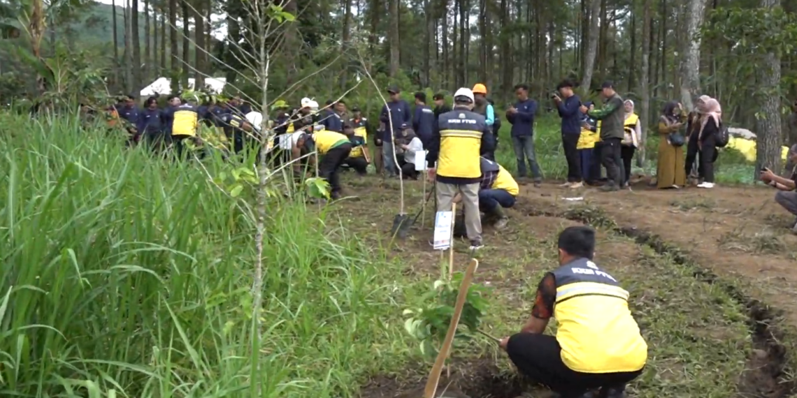 Perluas Penghijauan Kampus, UB Tanam Ratusan Pohon