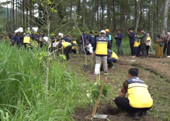 Perluas Penghijauan Kampus, UB Tanam Ratusan Pohon